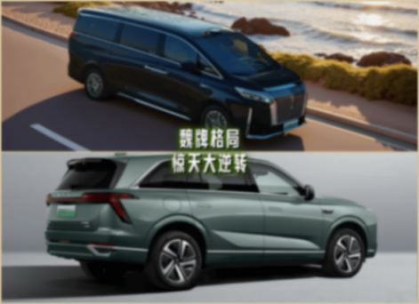 高山、蓝山惊天反转! 魏牌到底怎么了?